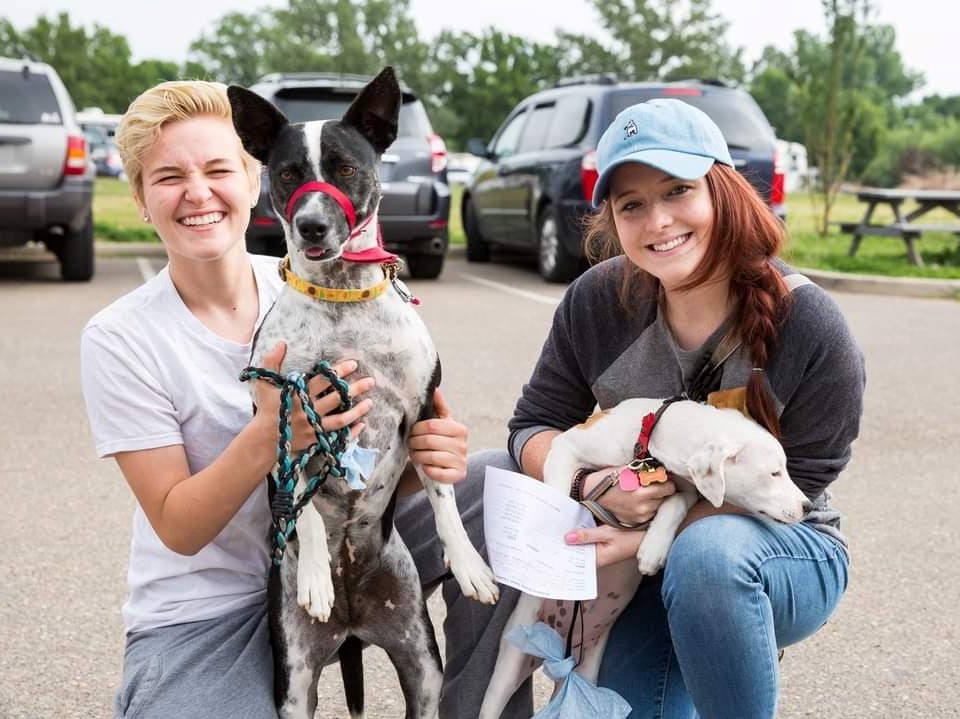 Two young women and two dogs